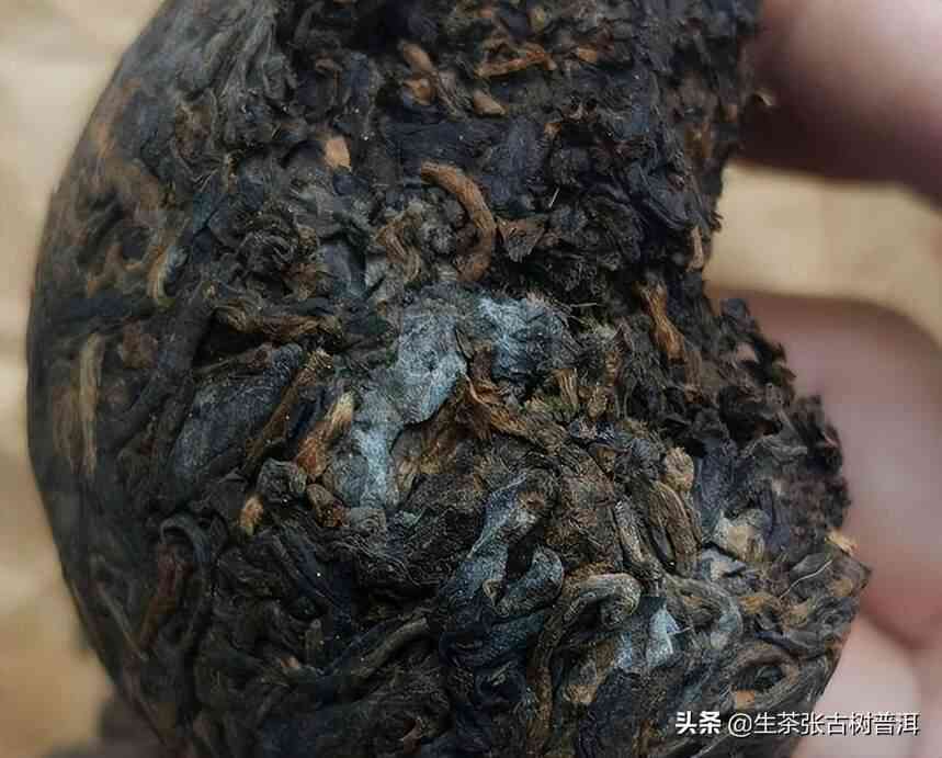 普洱茶怎么保存不发霉不变质？