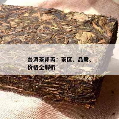 邦丙普洱茶：品种、产地、功效、泡法与品鉴全方位解析