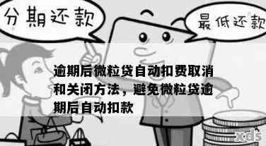 如何解决微粒贷逾期自动扣款问题？了解全面操作步骤和注意事项