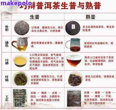 小厂出品：探索普洱茶的独特风味与区别