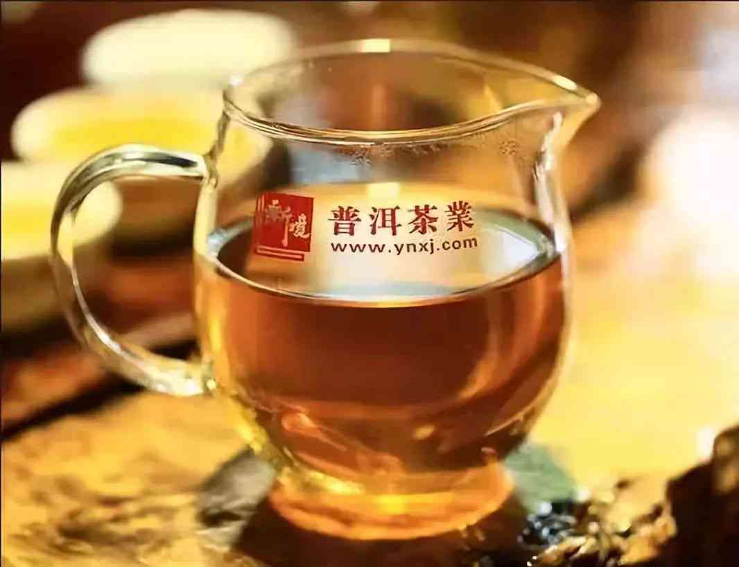 新境普洱茶：品味艺术，领略自然之美