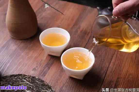 探索普洱茶的魅力：从选购到泡法，一份全面指南助你成为普洱茶达人