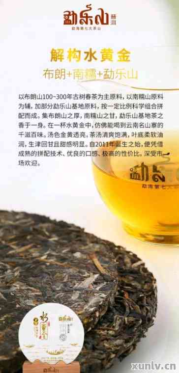 金珠山普洱茶