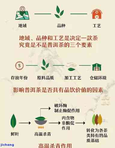 老的普洱茶之旅：品种、制作工艺、口感及购买指南，一篇全面解答您的问题