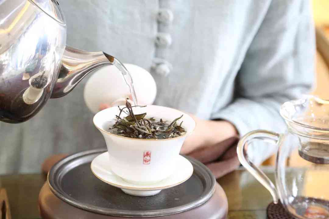 沏茶教程普洱茶怎么做：好喝的制作方法与技巧