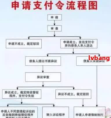 网贷逾期后申请仲裁的流程与条件详解：确保您的权益得到保障