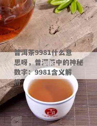 普洱茶中的9948数字：一种独特的品种及其特点解析