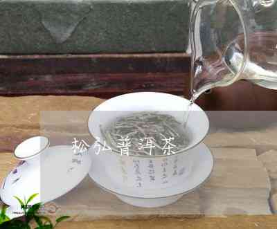 松洱普洱茶，袅袅间