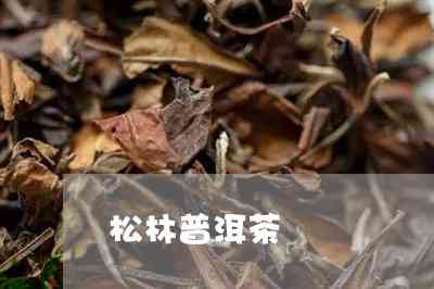 松洱普洱茶，袅袅间