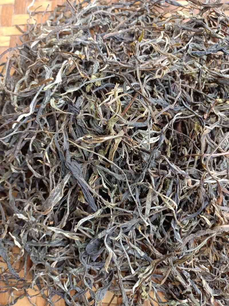 普洱茶毛料茶