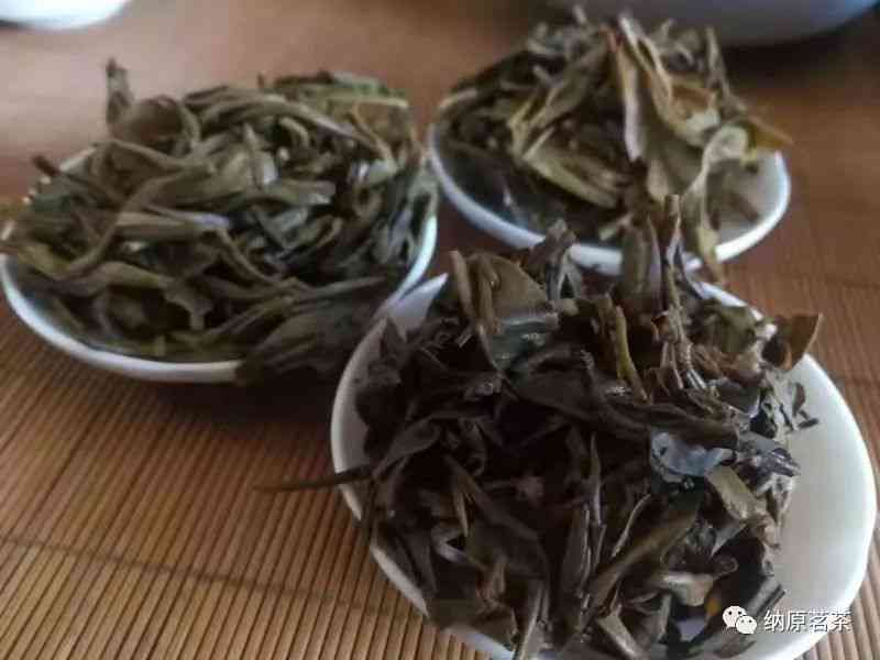 普龙纯正云南大叶种普洱茶：陈年老茶的醇厚与新茶的活力完美融合