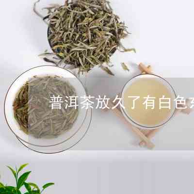 普洱茶里面的白色絮状物溶：真相揭秘与影响