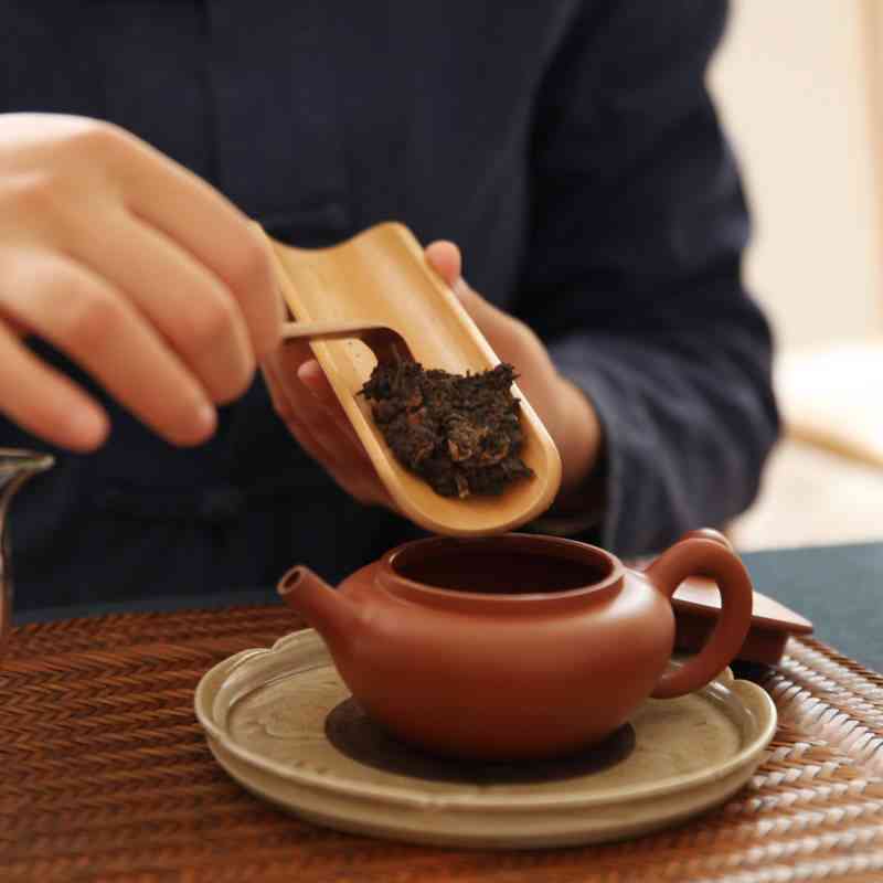 冷泡普洱茶熟茶怎么泡的：喝出醇香与浓，制作方法大公开