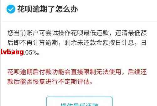 花呗购物逾期还款指南：如何处理逾期还款问题？