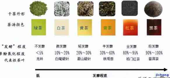 普洱茶一共分几种类型