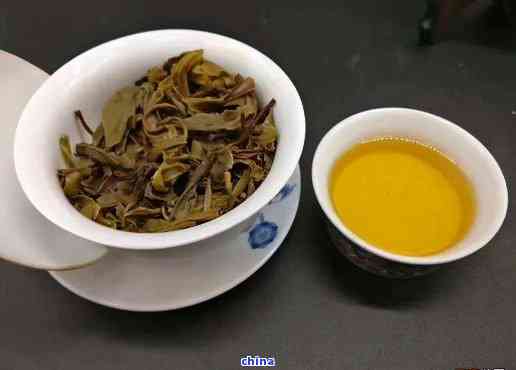 探索普洱茶生茶口感与品质：哪一款最能满足你的味蕾？