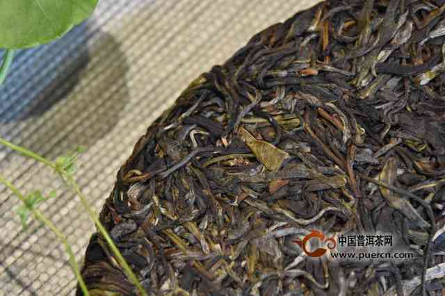 大箐河普洱茶产地：探索世界茶源的魅力与品质