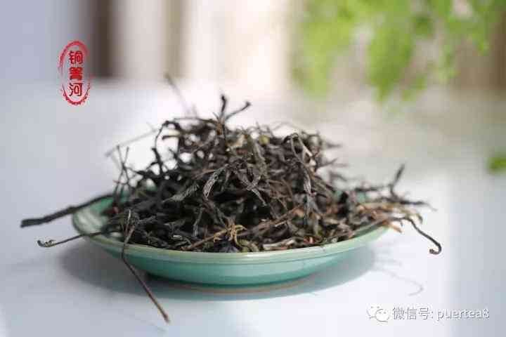 大箐河普洱茶