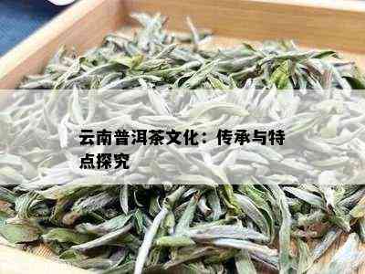 云南普洱茶：一部关于茶叶与文化的深入探讨