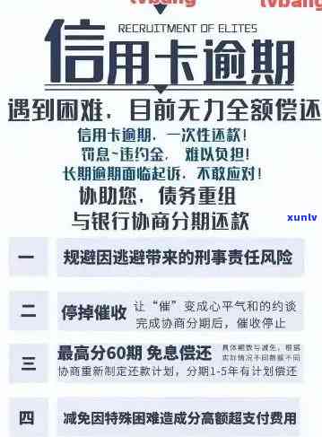 信用卡债务20万：探索还款策略、利息减免及信用修复方法，助您自救成功！