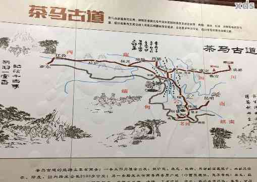 普洱茶马古道：云南景区的历与文化之旅