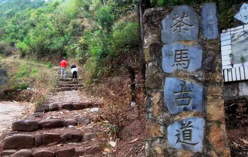 普洱茶马古道：云南景区的历与文化之旅