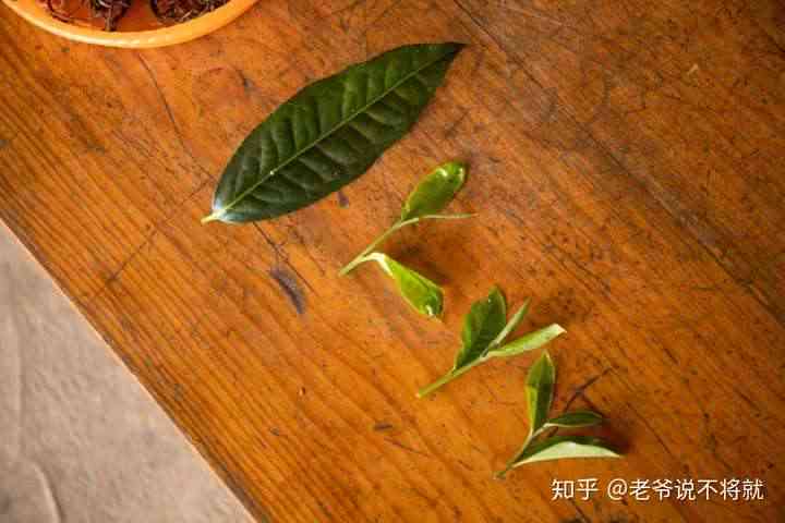 关于普洱茶的选购：如何通过条索大小辨别古树茶