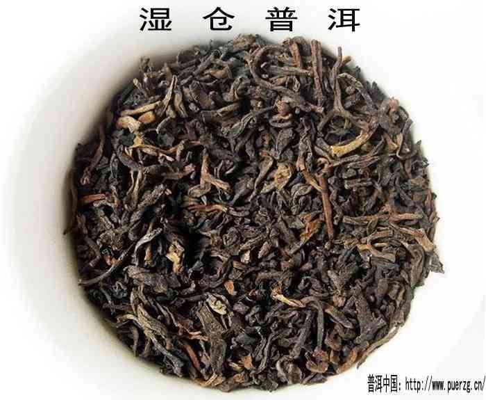 关于普洱茶的选购：如何通过条索大小辨别古树茶