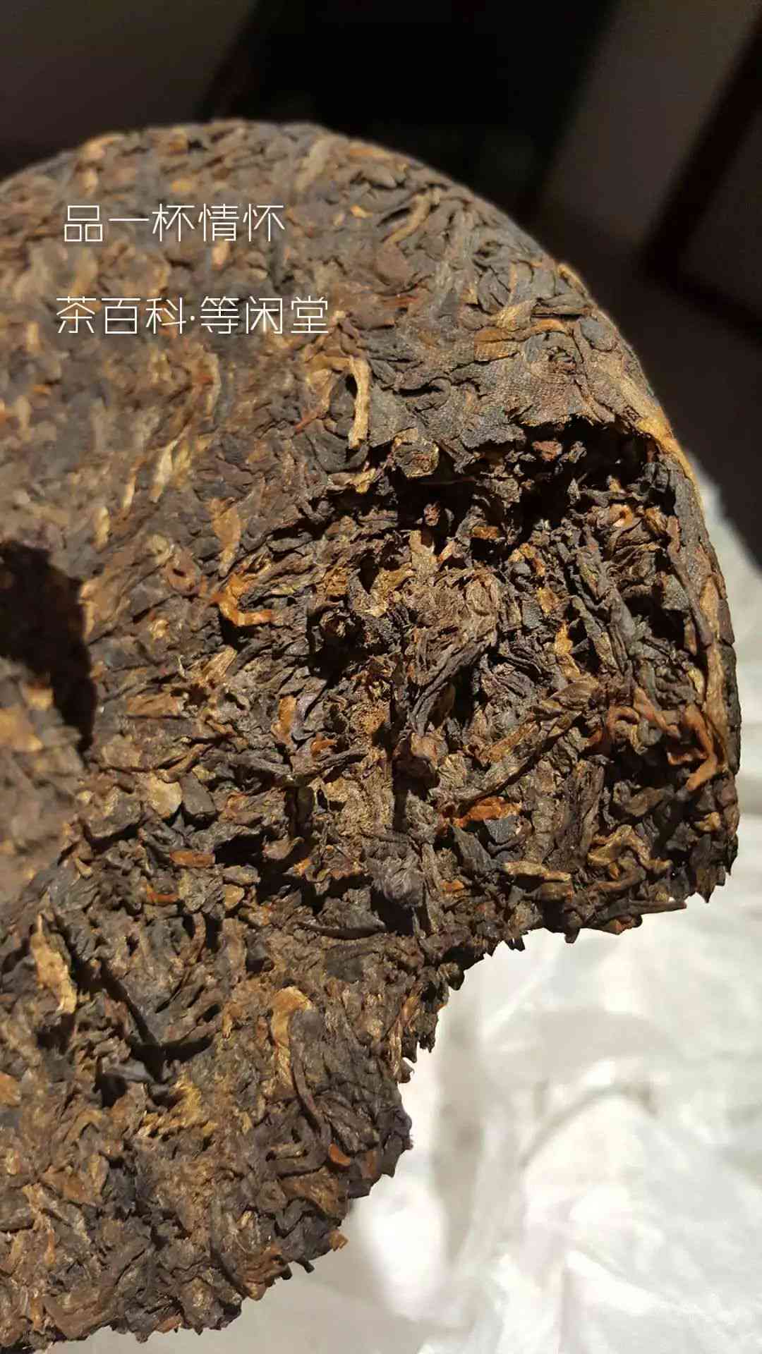 深入解析：品鉴普洱茶的五大维度，让你一眼看出好坏与鉴别方法