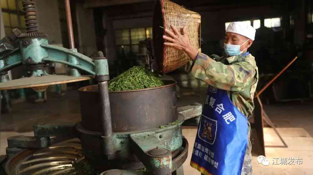 普洱江城茶厂官网招聘信息及价格，茶叶与茶一站购齐