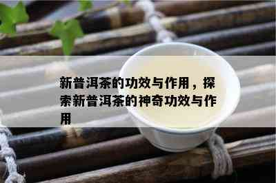 新 探究普洱茶与闷泡的奇妙关系：冲泡与熟茶、生茶的不同体验