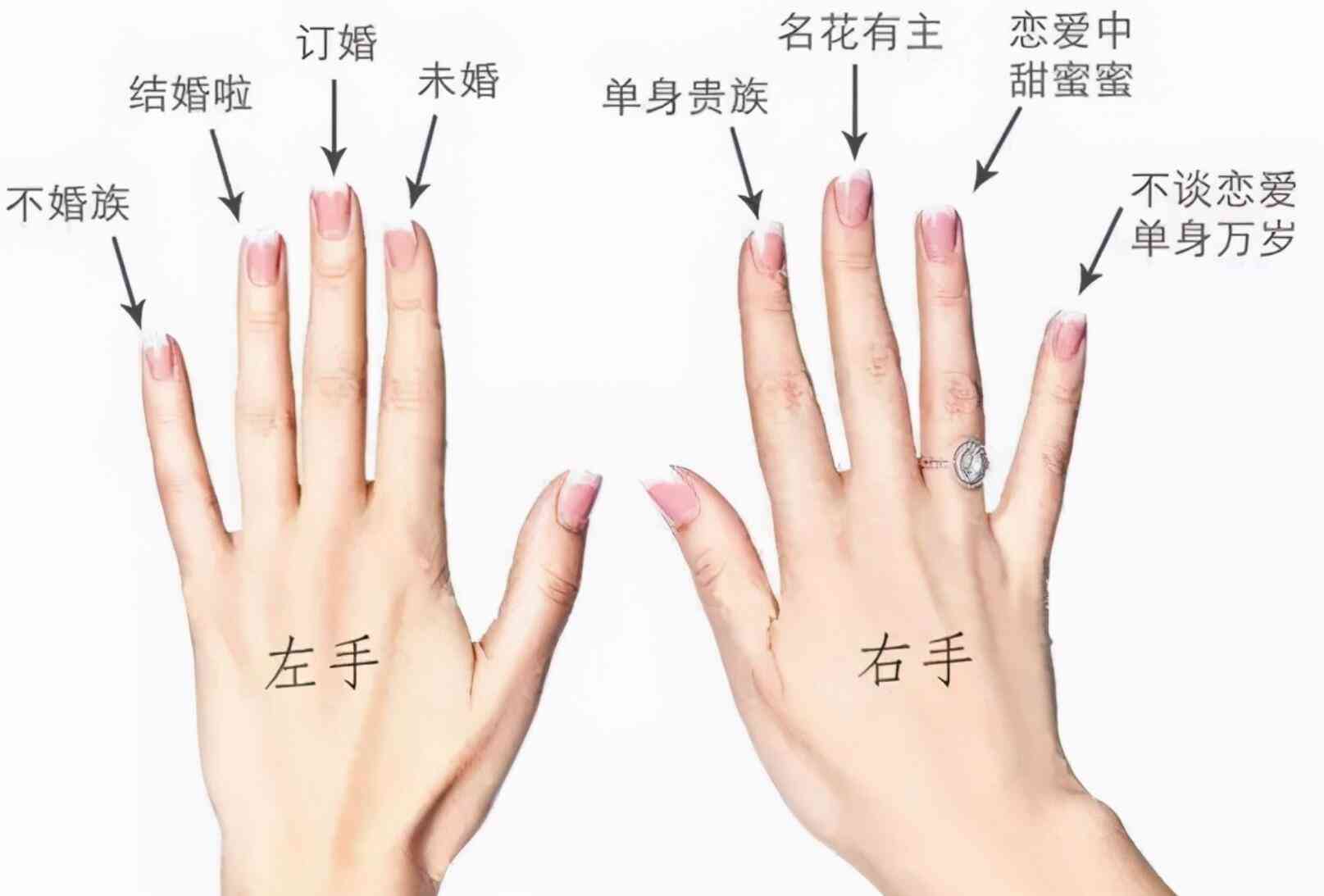 介子应佩戴哪个手指的戒指：揭示不同手指背后的含义与象征