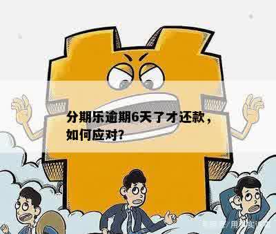 逾期还款后六天再次借款的可能性及相关影响全面解析