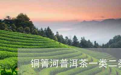 铜箐河普洱茶批发加盟