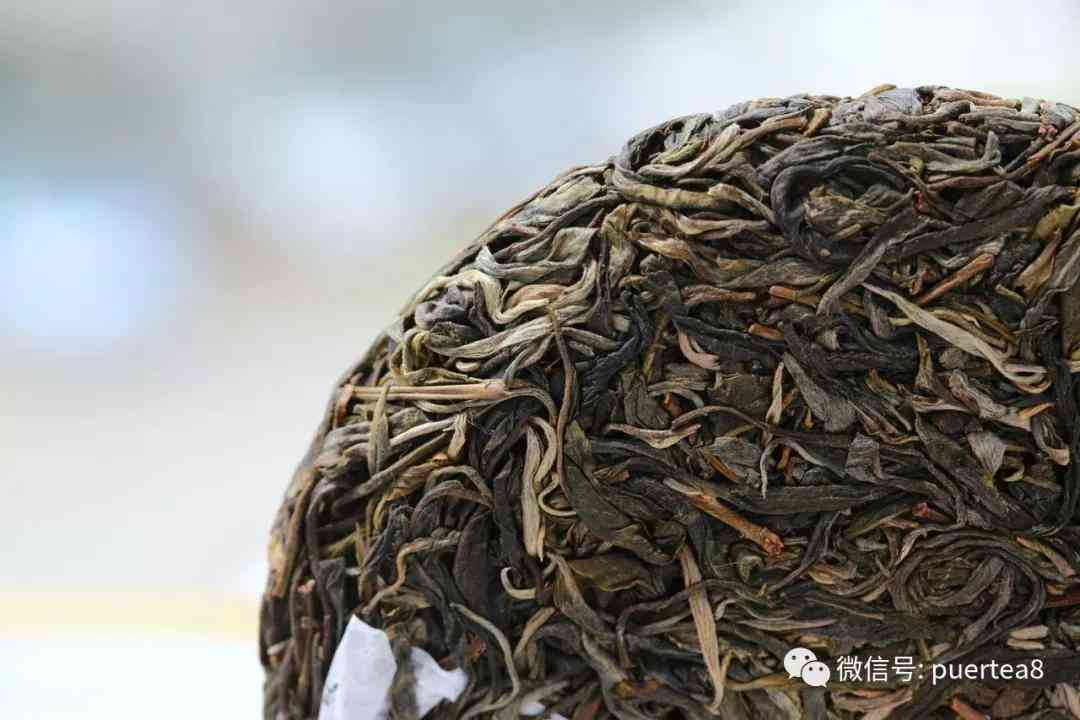 铜箐河普洱茶批发加盟