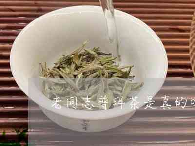 老同志泡普洱茶可以吗