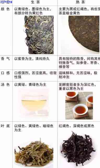 普洱茶：品种、性质、功效与饮用方法的全面解析