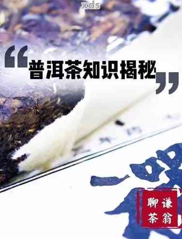 探索普洱茶：最全知识，让你成为普洱茶专家