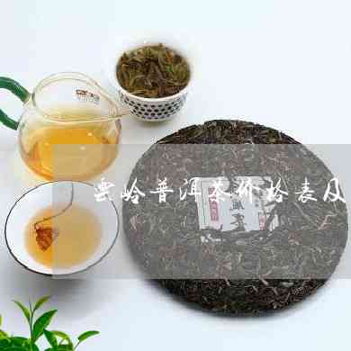 云临岔箐普洱茶价格表：提供最新普洱茶价格信息。