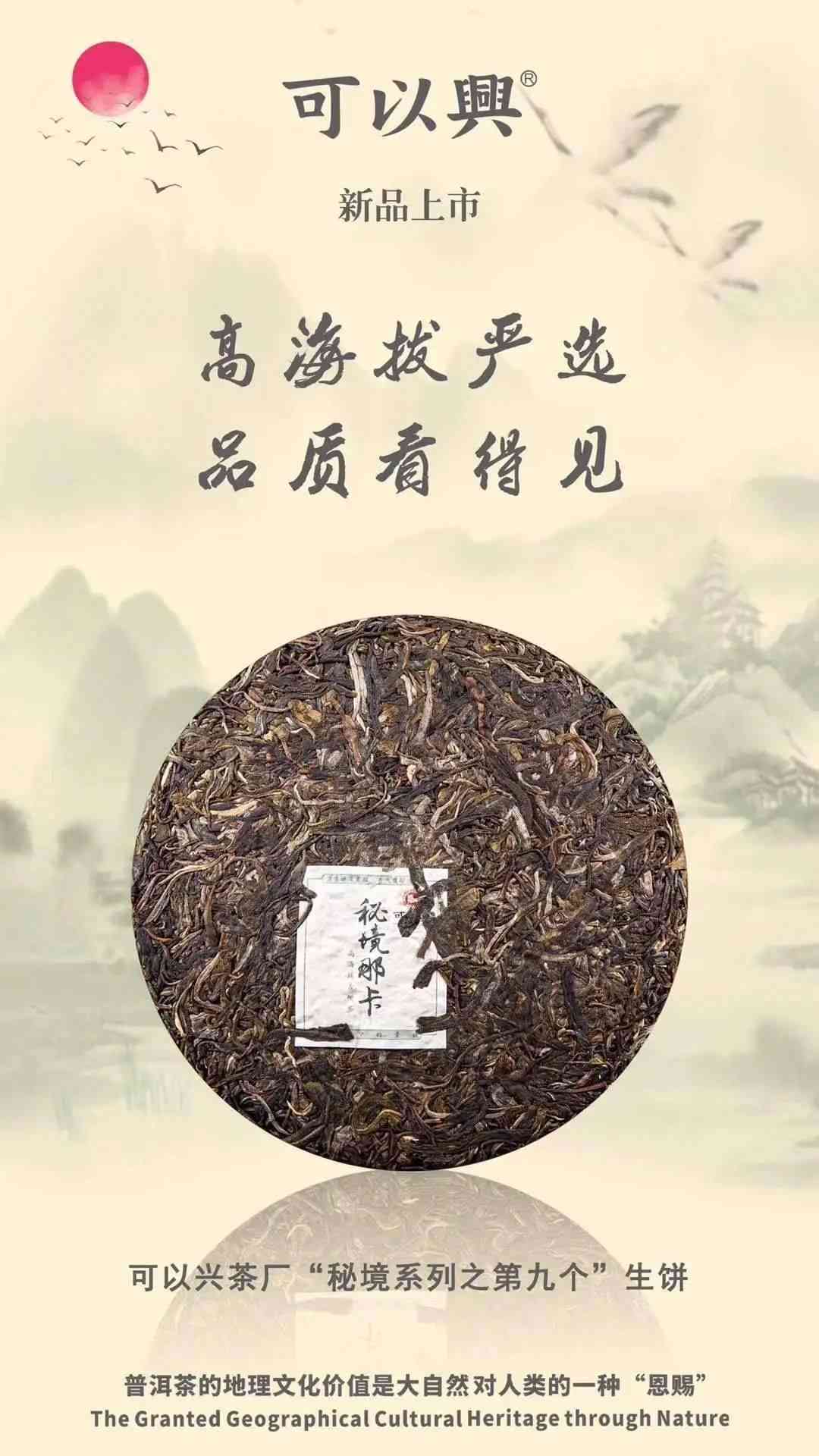 普洱茶魅力全球：探寻其不受国界限制的原因及文化背景