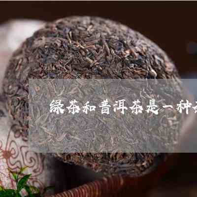 卖绿茶卖不过普洱茶吗