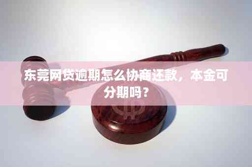 网贷逾期后如何协商分期偿还本金？详细攻略来了！