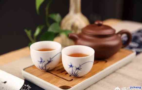 什么壶泡什么茶：适合的茶壶与茶叶搭配讲究