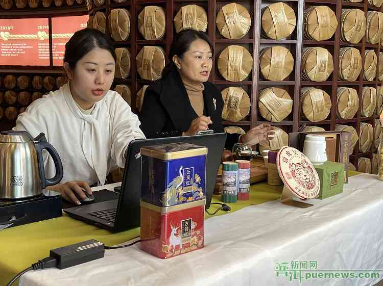 正丰普洱茶线上品鉴：专家讲解茶业魅力，抖音直播分享独特风味