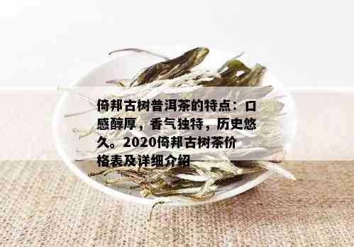 倚邦古树普洱茶的独特口感与香气分析