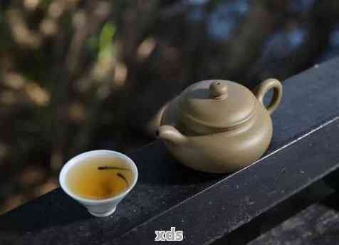 什么壶适合泡生普洱茶？