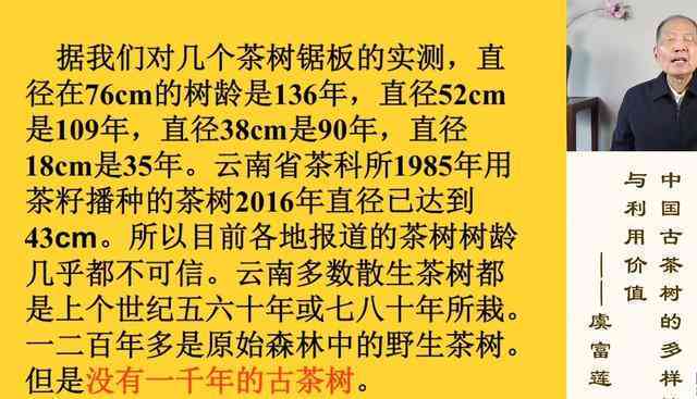 探究普洱茶升值空间：潜力投资与价值收藏的全面分析