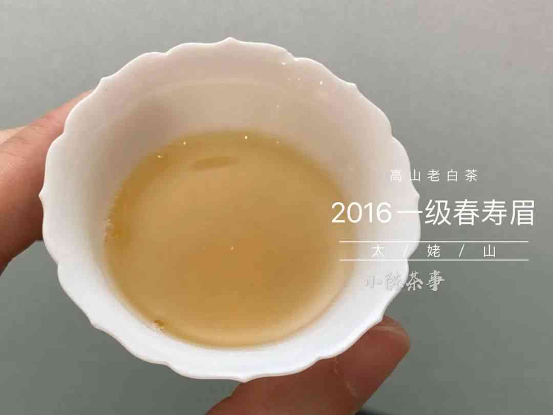 0262普洱茶：0622简介，0562普洱茶，6221价格，0582特点，7262品鉴