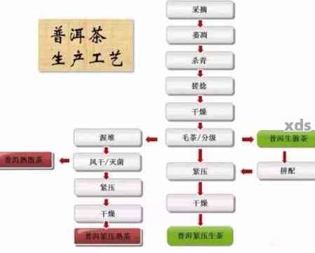 普洱茶工艺之旅：从手工制作到品鉴详解