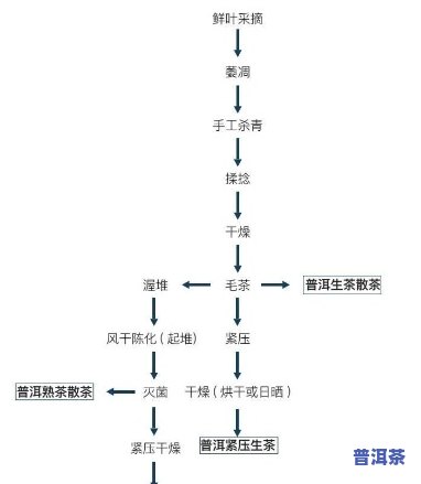 普洱茶的发酵过程：从生茶到熟茶的转变，了解不同类型普洱茶的特点